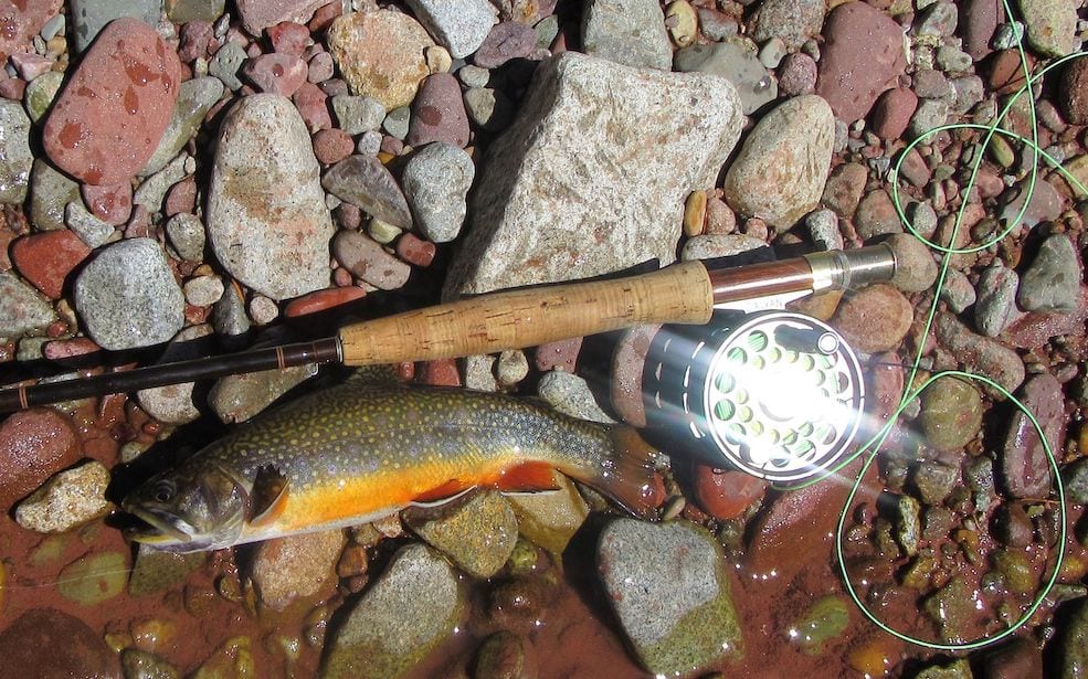 On the bank of a river, there is a fly fishing rod and a brook trout lying on rocks.