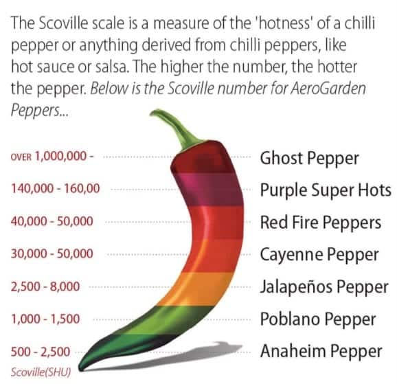 an image that shows the scoville scale