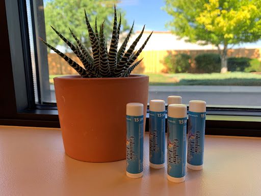 5 custom lip balm labels standing up on a table next to a small house plant in front of a window