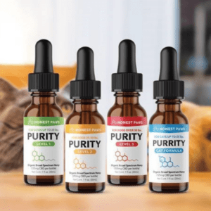 Different CBD Pet products being eyed by a dog and a cat